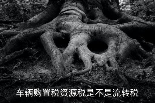 車輛購置稅資源稅是不是流轉稅