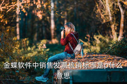 金蝶軟件中銷售發票核銷標志是p什么意思
