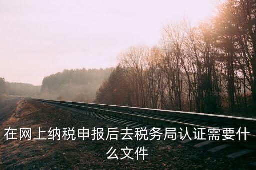在網上納稅申報后去稅務局認證需要什么文件