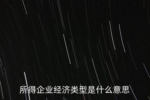 所得項目是什么意思，所得企業經濟類型是什么意思