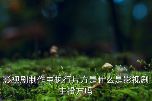 什么是分立主導方，股權分立是什么意思