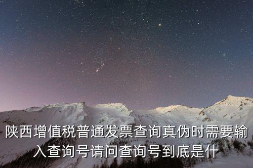 陜西增值稅普通發票查詢真偽時需要輸入查詢號請問查詢號到底是什