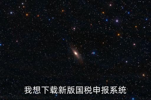 新疆國稅報稅什么系統下載，我想下載新版國稅申報系統