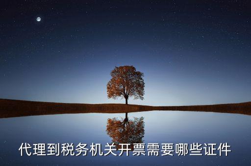 國稅代理開票需要什么，代開普通國稅發票要什么資料