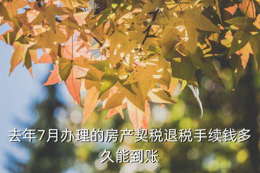 去年7月辦理的房產契稅退稅手續錢多久能到賬