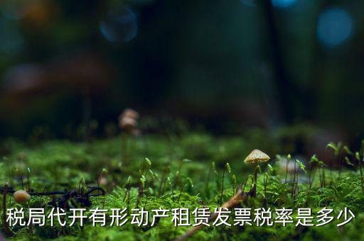 稅局代開有形動產租賃發票稅率是多少