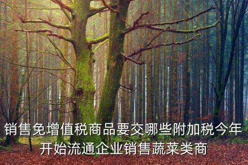 銷售免增值稅商品要交哪些附加稅今年開始流通企業銷售蔬菜類商