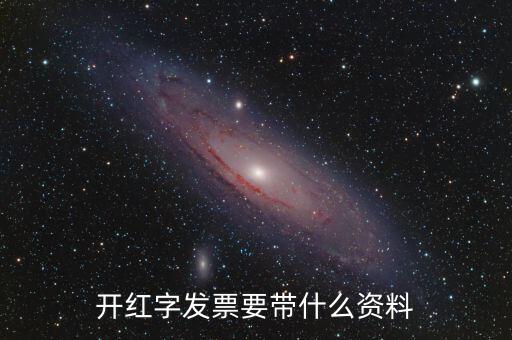 開紅字發票要帶什么資料