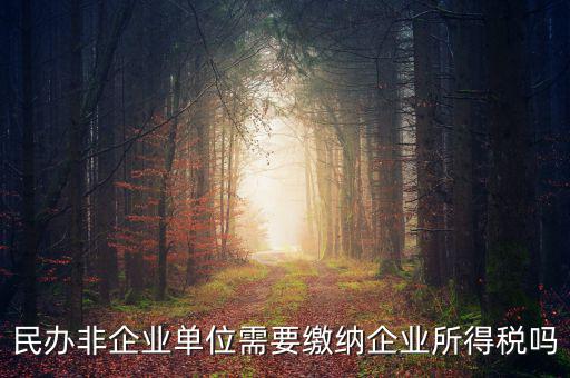 民辦非企業單位需要繳納企業所得稅嗎