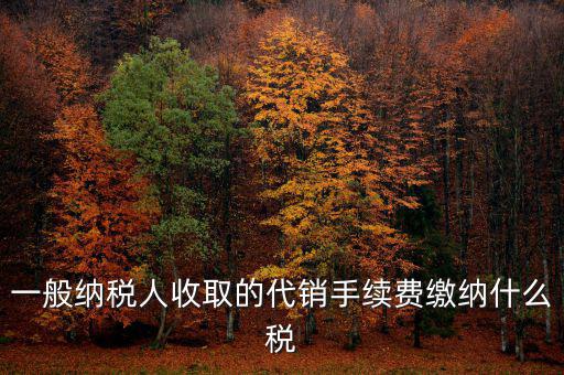 一般納稅人收取的代銷手續費繳納什么稅