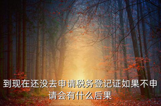 到現在還沒去申請稅務登記證如果不申請會有什么后果