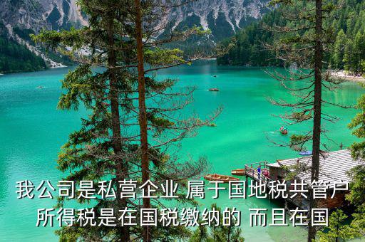 我公司是私營企業 屬于國地稅共管戶所得稅是在國稅繳納的 而且在國