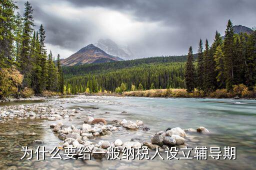 為什么要給一般納稅人設立輔導期