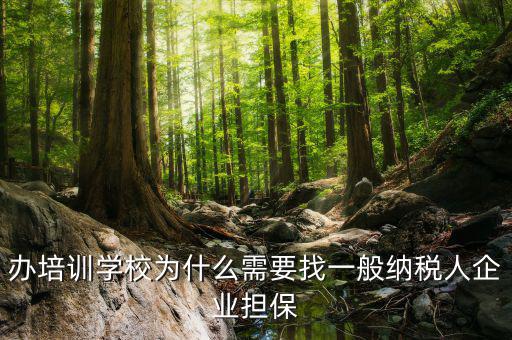 辦培訓學校為什么需要找一般納稅人企業擔保