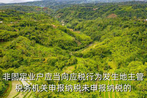 非固定業戶應當向應稅行為發生地主管稅務機關申報納稅未申報納稅的
