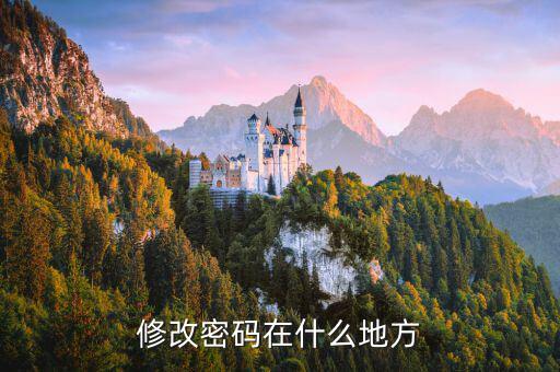 國稅網站更改密碼在什么地方，修改密碼在什么地方
