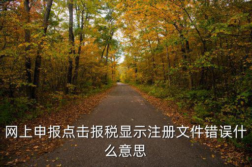 網上申報點擊報稅顯示注冊文件錯誤什么意思