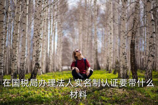 實名認證稅務需要什么資料，在國稅局辦理法人實名制認證要帶什么材料