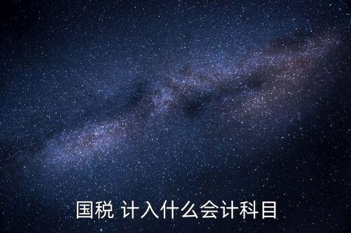國稅申報記入什么科目，付國稅應計入什么科目求解啊