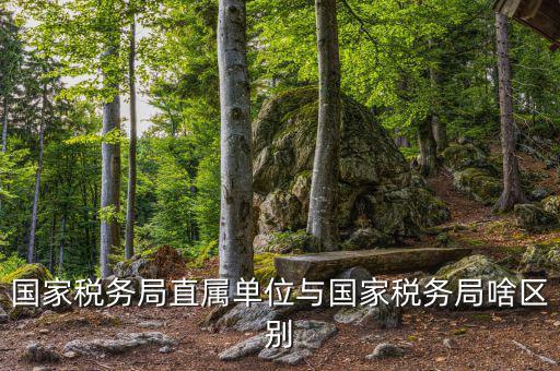 國家稅務局直屬單位與國家稅務局啥區別