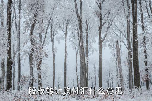 什么是售付匯，股權(quán)轉(zhuǎn)讓購(gòu)付匯什么意思