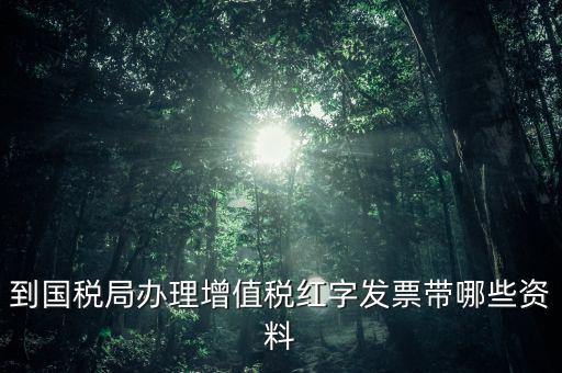 開紅字增票要帶些什么，增值稅普通發票開具紅字發票需要什么資料