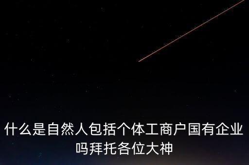 稅務上的自然人指的是什么，申請人為自然人的是什么意思