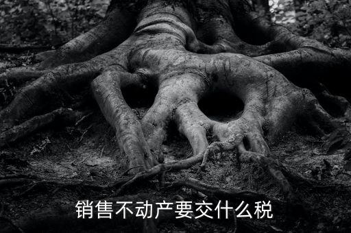 出售不動產 交什么稅，銷售不動產要交什么稅