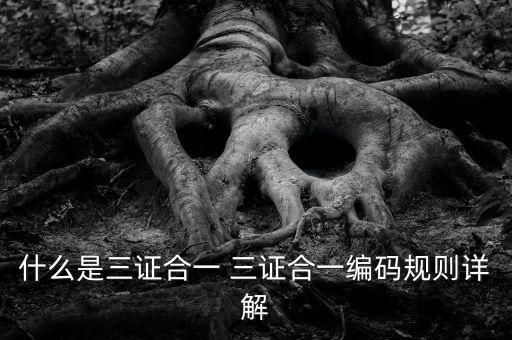 什么是三證合一 三證合一編碼規則詳解