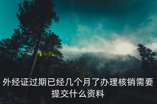 上海外經證核銷資料要些什么，外經證過期已經幾個月了辦理核銷需要提交什么資料