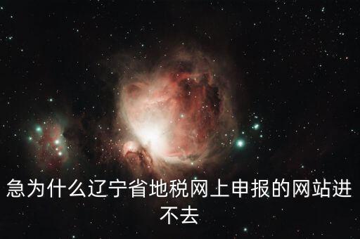 急為什么遼寧省地稅網上申報的網站進不去