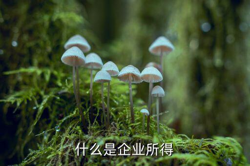 什么是企業所得