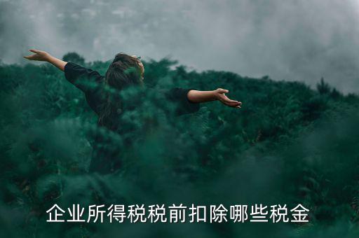 企業所得稅稅前扣除哪些稅金