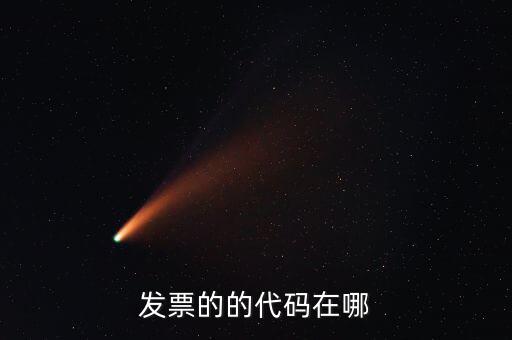 發票的的代碼在哪