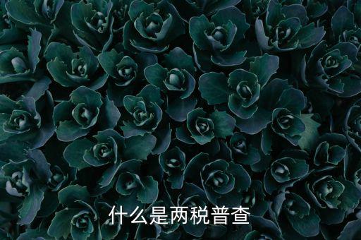 兩稅普查是什么意思，進口兩稅是什么
