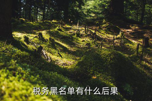 稅收黑名單制度是什么，關于上了稅務黑名單影響出境嗎