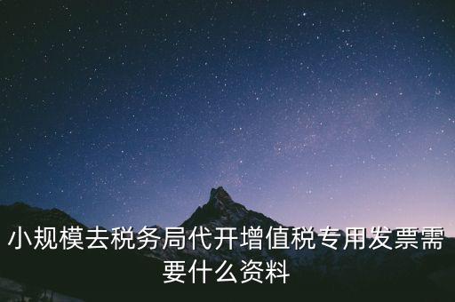 小規模去稅務局代開增值稅專用發票需要什么資料