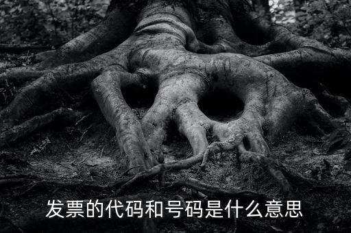 什么是打發票代碼，請教各位什么事發票代碼