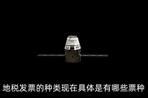 地稅發票的種類現在具體是有哪些票種