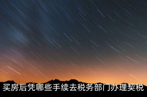 購房要在國(guó)稅辦什么，現(xiàn)在買房要辦些什么證件買房者與賣房者所交稅務(wù)有那些夠房者現(xiàn)