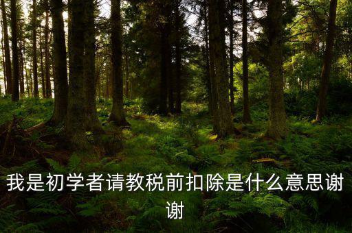 我是初學者請教稅前扣除是什么意思謝謝