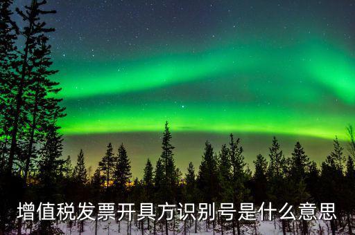增值稅發票開具方識別號是什么意思