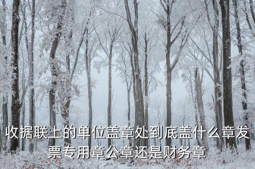 收據蓋章蓋是什么樣，收據上蓋什么章