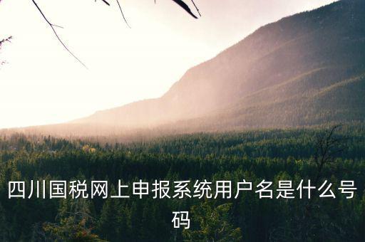 四川國稅網上申報系統用戶名是什么號碼