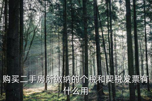 購買二手房所繳納的個稅和契稅發票有什么用