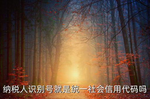 納稅人識別號就是統一社會信用代碼嗎