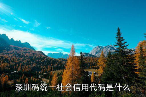 深圳碼統一社會信用代碼是什么
