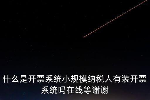 什么是開票系統小規模納稅人有裝開票系統嗎在線等謝謝
