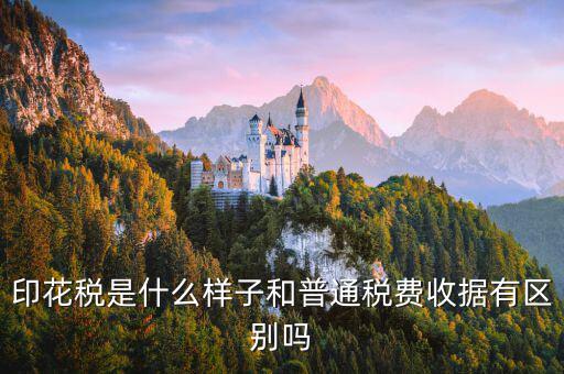 稅花什么樣，印花稅是什么樣子和普通稅費收據有區別嗎