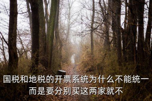 國(guó)稅和地稅的開(kāi)票系統(tǒng)為什么不能統(tǒng)一而是要分別買(mǎi)這兩家就不